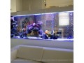 morskoi-akvarium-izgotovlenie-po-vasim-razmeram-small-1