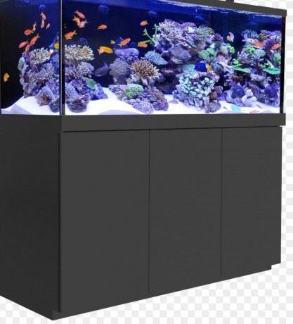 morskoi-akvarium-izgotovlenie-po-vasim-razmeram-big-3