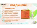 prodayu-kordiceps-virusy-bronxit-kasel-pnevmoniya-prostuda-small-2