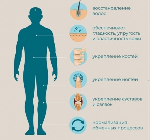 prodayu-placentarnyi-morskoi-kollagen-sustavy-nogti-volosy-koza-big-2